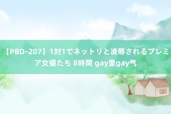 【PBD-207】1対1でネットリと凌辱されるプレミア女優たち 8時間 gay里gay气