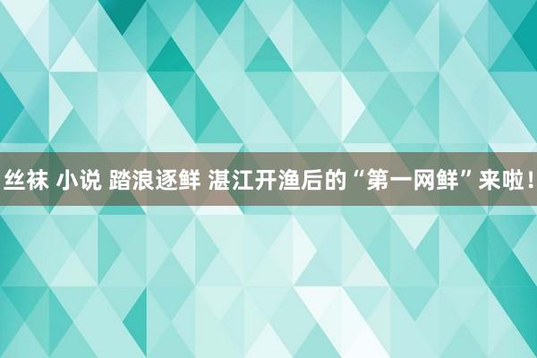 丝袜 小说 踏浪逐鲜 湛江开渔后的“第一网鲜”来啦！