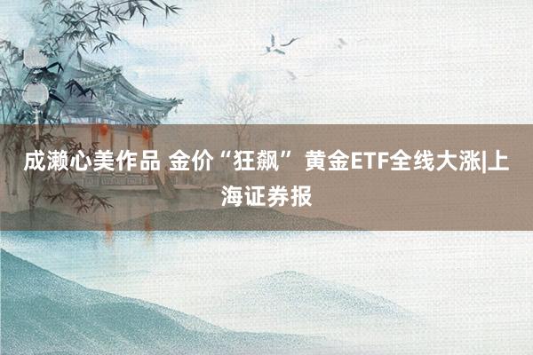 成濑心美作品 金价“狂飙” 黄金ETF全线大涨|上海证券报