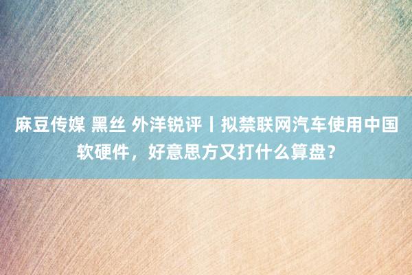 麻豆传媒 黑丝 外洋锐评丨拟禁联网汽车使用中国软硬件，好意思方又打什么算盘？